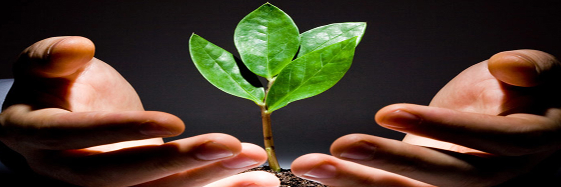 AUDITORIA E PERÍCIA AMBIENTAL